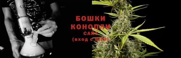 прущие грибы Красноперекопск