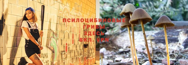 прущие грибы Красноперекопск
